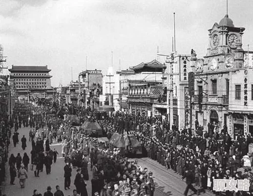 保卫萝卜3公园第25关全解析:金萝卜通关布阵攻略获网友高赞 保卫萝卜3公园第25关全解析:金萝卜通关布阵攻略获网友高赞