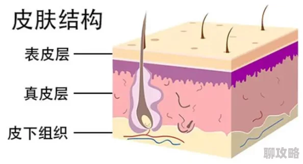 网友热议:炉石传说宇宙动物园,能打能奶的多面手新玩法! 网友热议:炉石传说宇宙动物园,能打能奶的多面手新玩法!