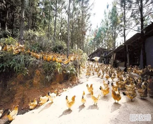 网友热议：特定地图揭秘，《我的世界》野生西瓜刷新点全分享！