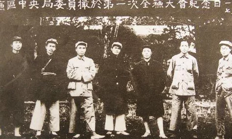 保卫萝卜3新手必看：每日成长指南获网友热评与推荐