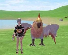 2025年热门指南:创造与魔法云斑鹦鸟最新抓捕位置与高效饲料配方一览 2025年热门指南:创造与魔法云斑鹦鸟最新抓捕位置与高效饲料配方一览